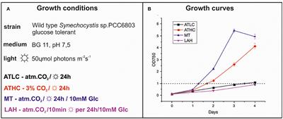 Patterning of the Autotrophic, Mixotrophic, and Heterotrophic Proteomes of Oxygen-Evolving Cyanobacterium Synechocystis sp. PCC 6803